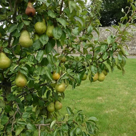 بيت ضيافة Le Chateau D'hauterives Argentre