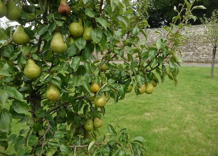 Pensión Le Chateau D'hauterives Argentre